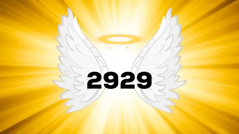 2929 Angel Number: Insights for Growth and Guidance