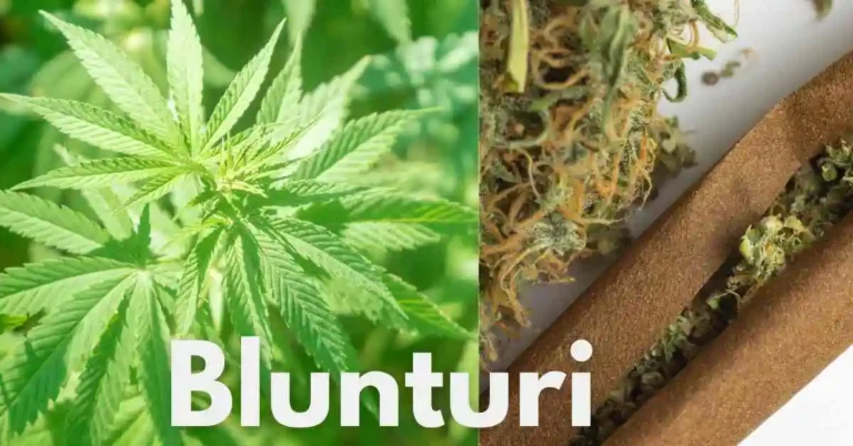 Blunturi: Romania’s Smoking Trend & Health Implications