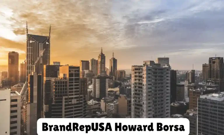 Brandrepusa Howard Borsa: Mastering Personal Branding