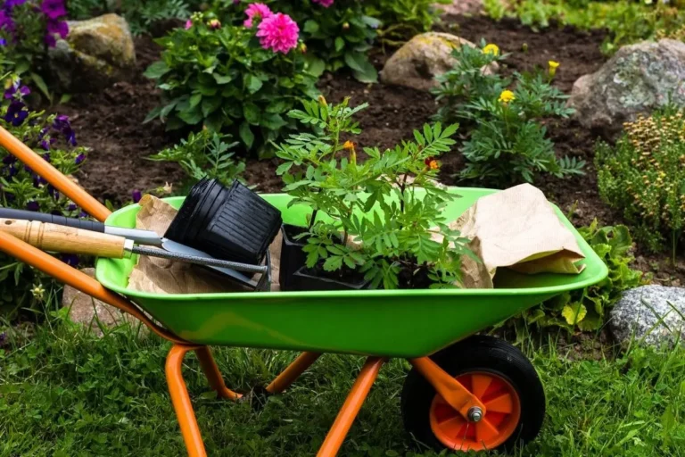 Wheelbarrow: Your Gardening and Construction Companion