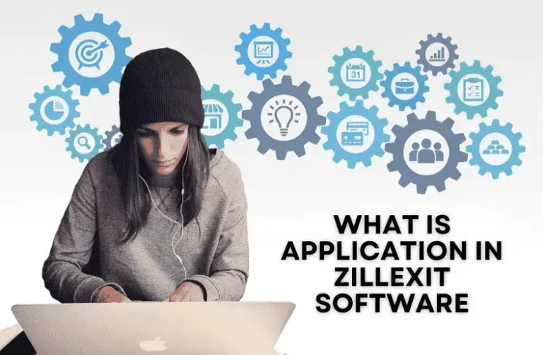 What is Application in Zillexit Software