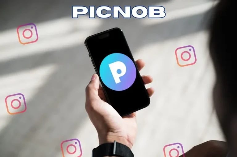 Picnob: Social Media Platform for Creators and Businesses